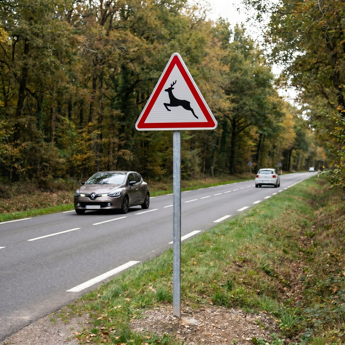 Panneau A15b — mise en situation sur voirie