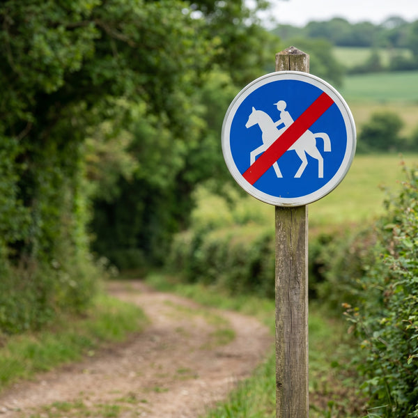 Panneau B42 — mise en situation sur voirie