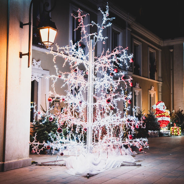 Sapin rameaux en situation dans une rue, de nuit, ici en blanc