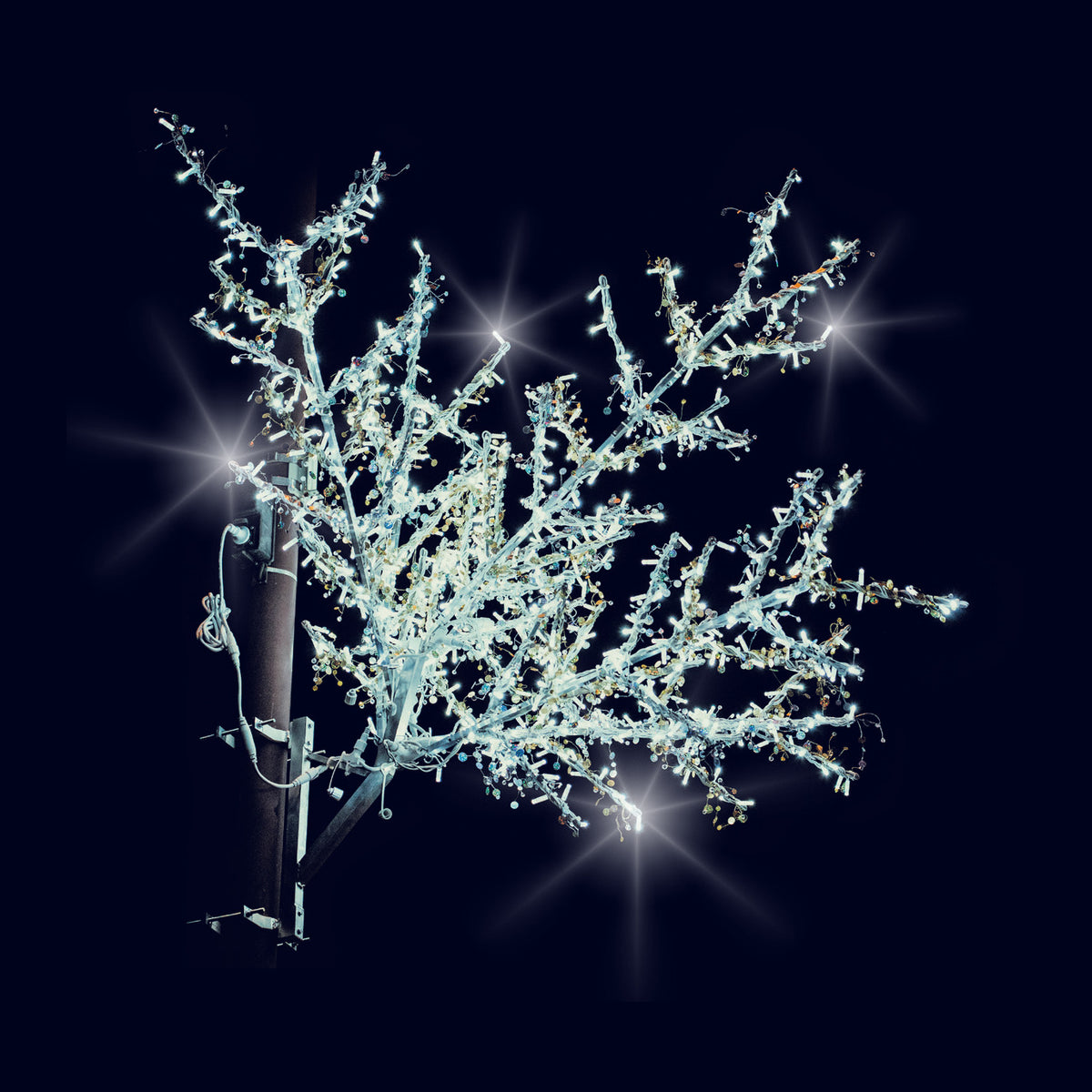 Branches bouquet, décor lumineux pour candélabre (Lumifête) Image principale du produit