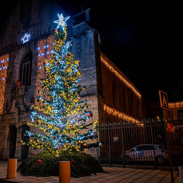 Sapin lumineux en situation devant une église, de nuit
